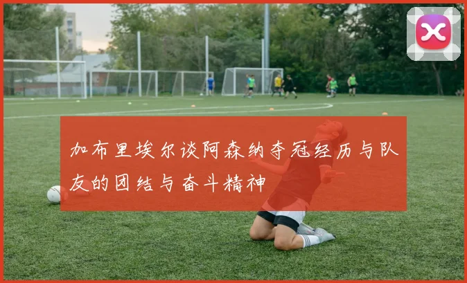 加布里埃尔谈阿森纳夺冠经历与队友的团结与奋斗精神