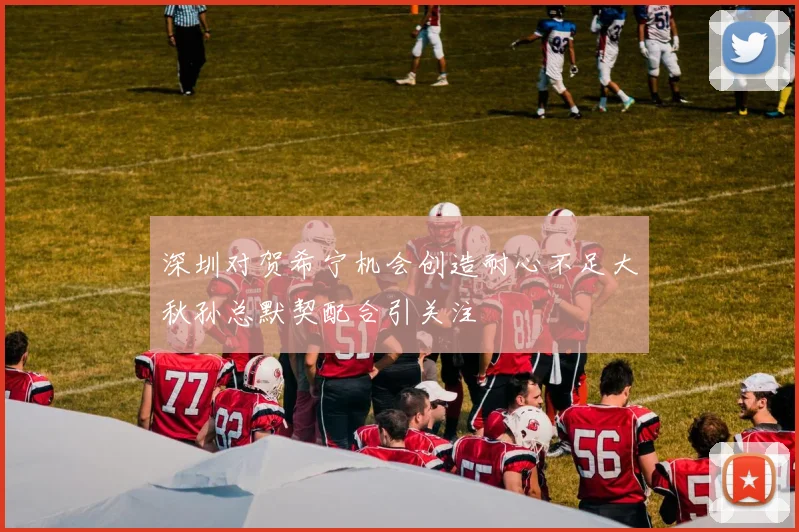 深圳对贺希宁机会创造耐心不足大秋孙总默契配合引关注