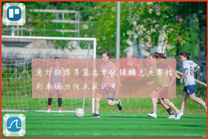 意外缺席男篮名单张镇麟总决赛精彩表现为何未获认可